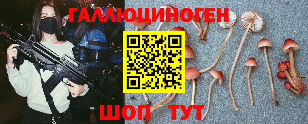 Галлюциногенные грибы прущие грибы  Вход с VPN  Черкесск  Галлюциногенные грибы Magic Shrooms 