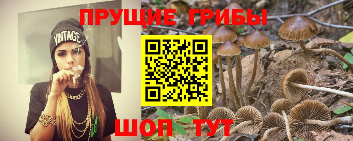 Каннабис  Вход с VPN  Черкесск  Меф кристаллы  Кокаин  Гашиш  МЕФ  Где продают наркотики? 